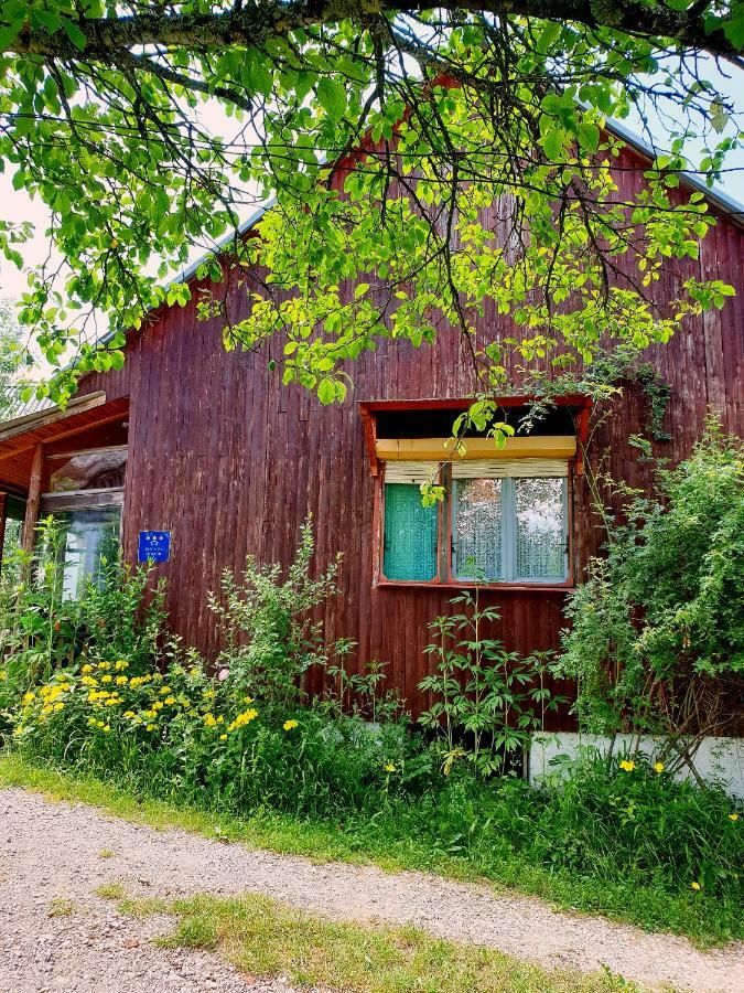 Draga Koncar Guest House Vrelo Koreničko Eksteriør billede