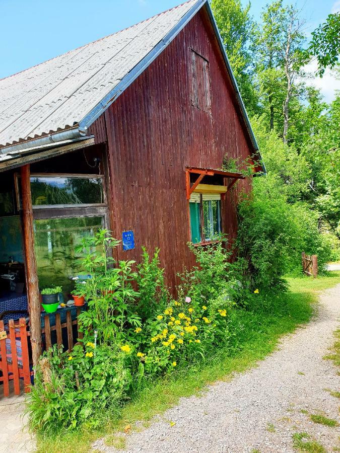 Draga Koncar Guest House Vrelo Koreničko Eksteriør billede