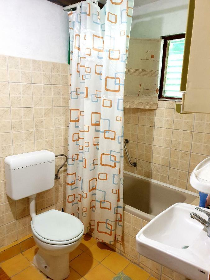 Draga Koncar Guest House Vrelo Koreničko Eksteriør billede