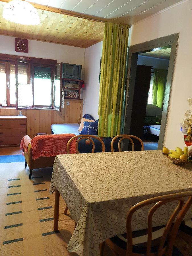 Draga Koncar Guest House Vrelo Koreničko Eksteriør billede